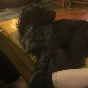 Meet your Posher, Brandi